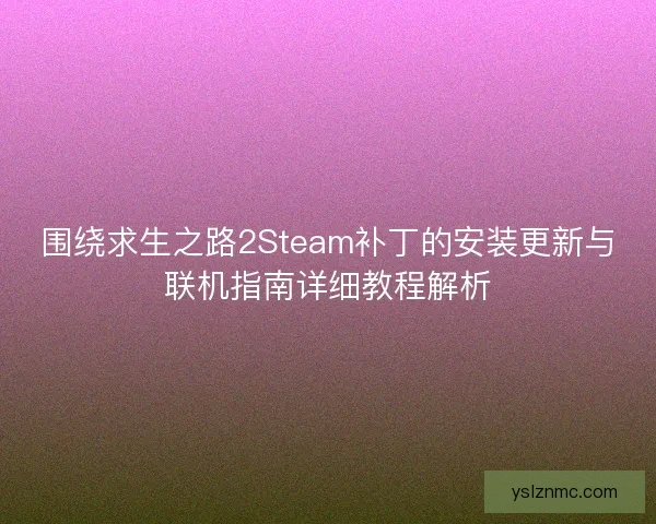 围绕求生之路2Steam补丁的安装更新与联机指南详细教程解析