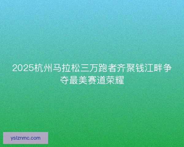 2025杭州马拉松三万跑者齐聚钱江畔争夺最美赛道荣耀
